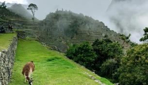 Machu Pichu Luxury Hiking Tours